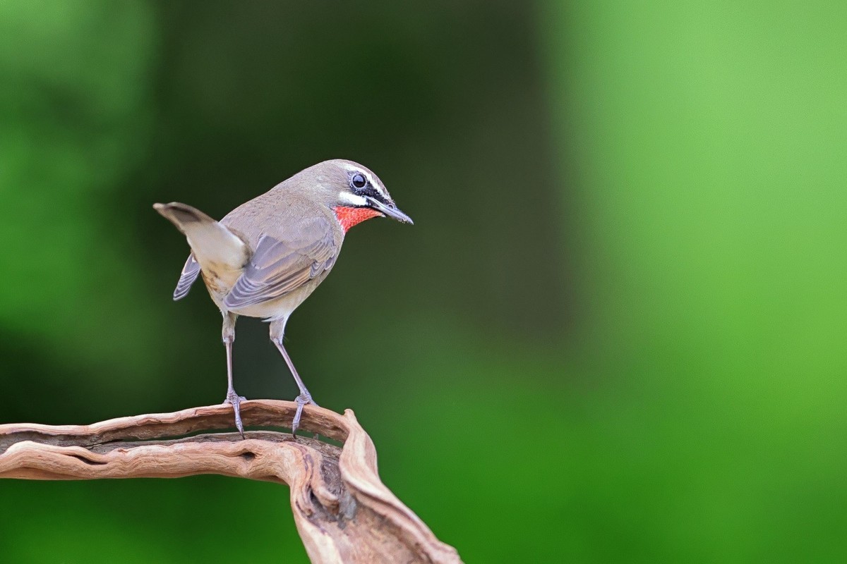 祝各位老师中秋节、国庆节双节吃好、喝美、玩爽，高高兴兴，和和美美，吉祥如意！