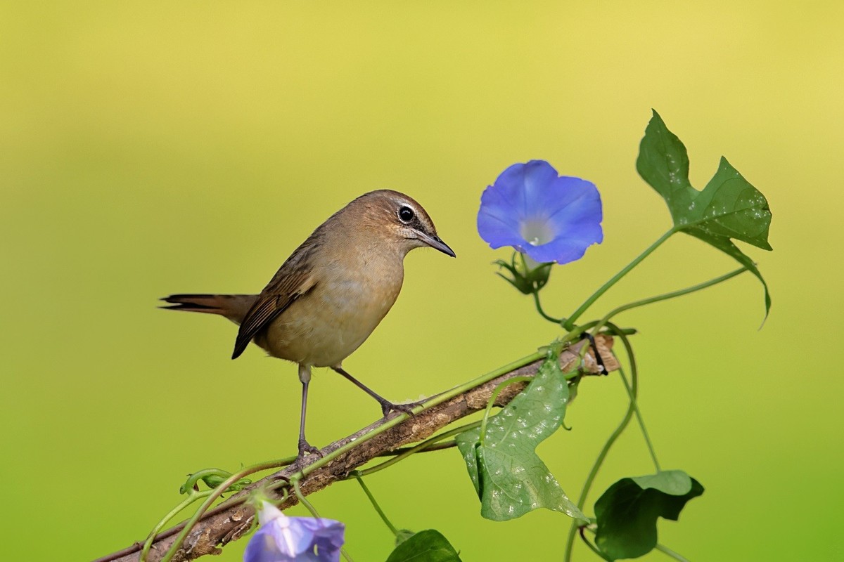 祝各位老师中秋节、国庆节双节吃好、喝美、玩爽，高高兴兴，和和美美，吉祥如意！