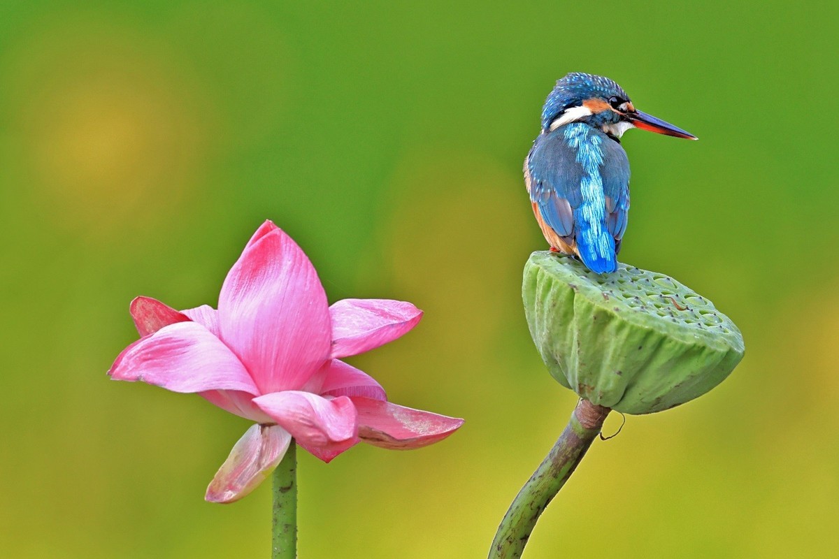 祝各位老师中秋节、国庆节双节吃好、喝美、玩爽，高高兴兴，和和美美，吉祥如意！