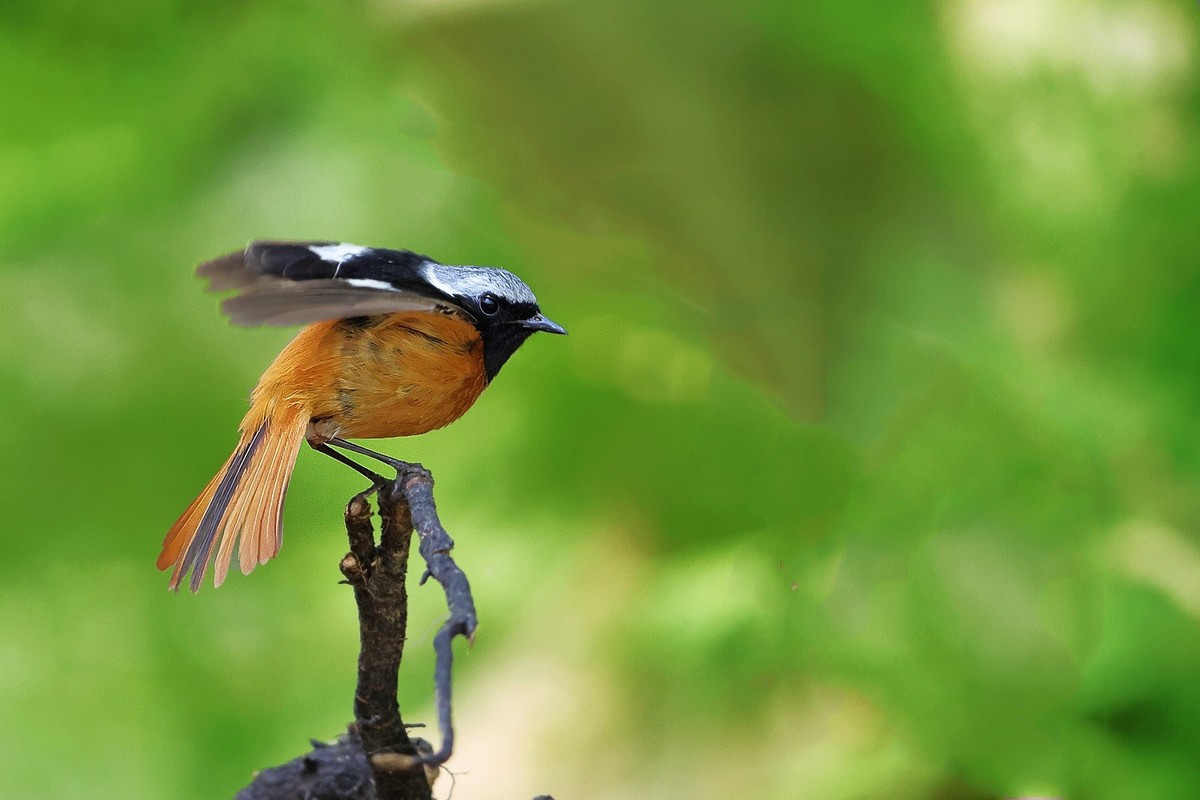 祝各位老师中秋节、国庆节双节吃好、喝美、玩爽，高高兴兴，和和美美，吉祥如意！