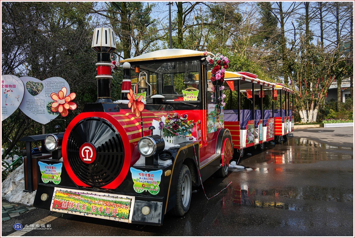 2024-（056）武汉植物园随拍（三）