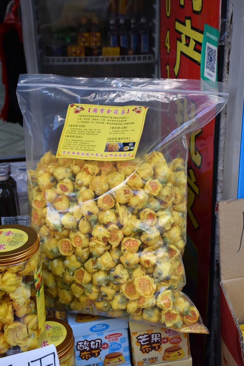 2024春节 滇桂沿边行（45）金花茶