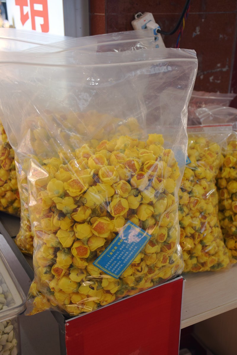 2024春节 滇桂沿边行（45）金花茶