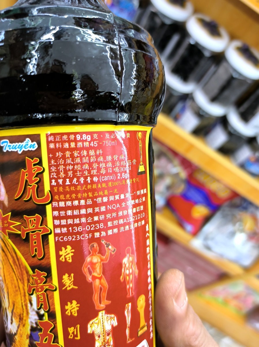 2024春节 滇桂沿边行（45）金花茶