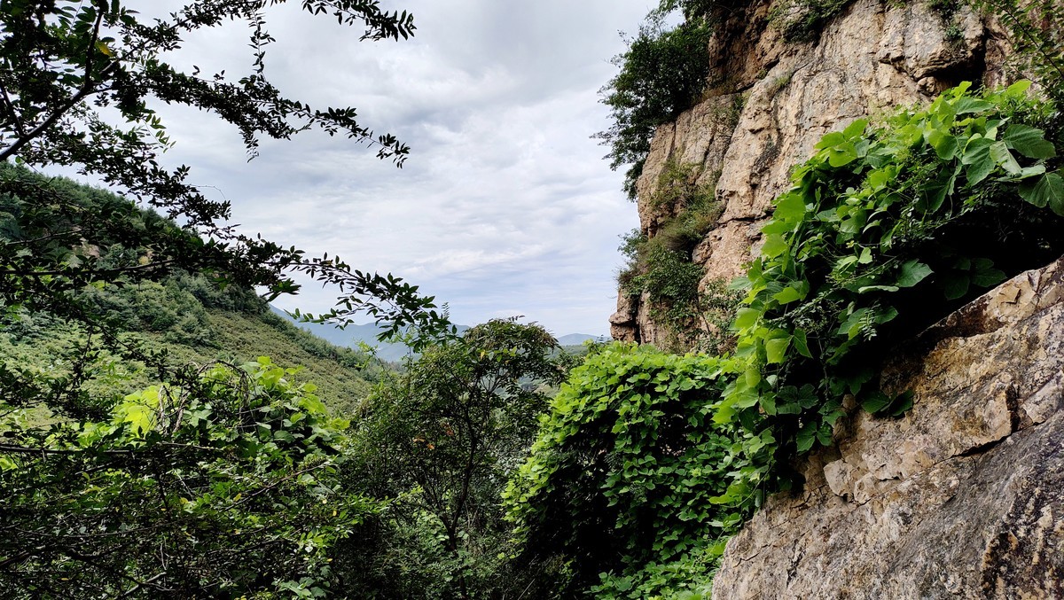 辽阳弓长岭人参谷掠影（续2）