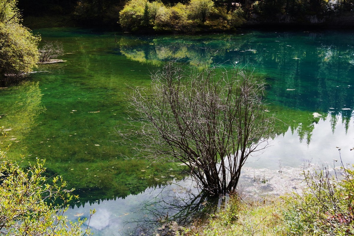 我只是把出去看到的随手记录下来（7）