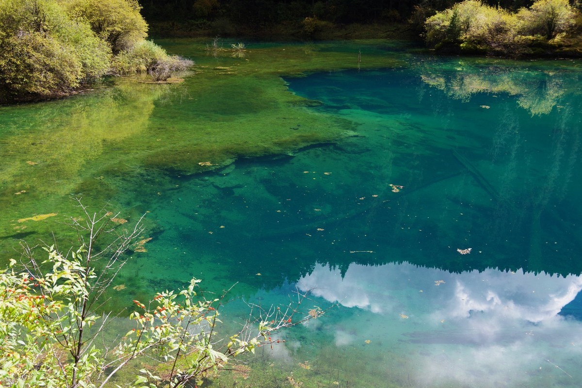我只是把出去看到的随手记录下来（7）
