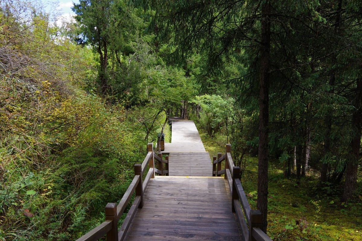 我只是把出去看到的随手记录下来（7）
