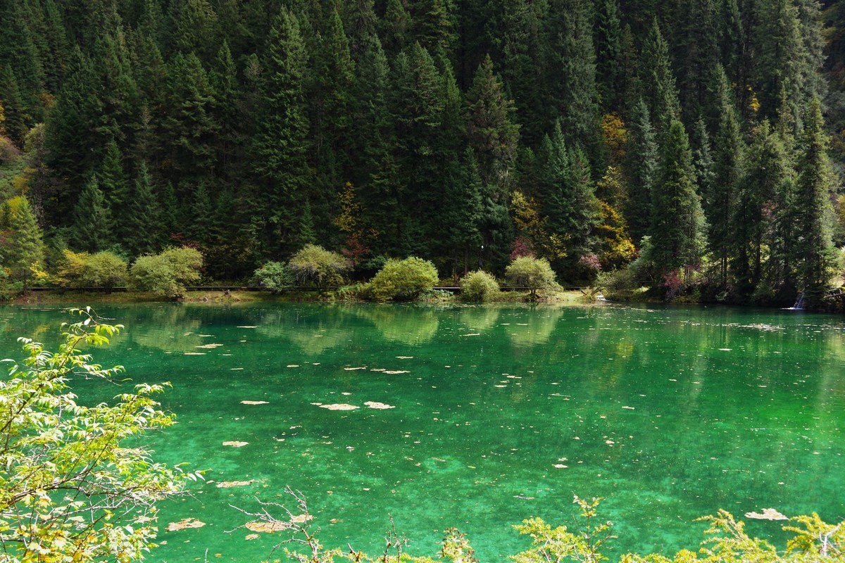 我只是把出去看到的随手记录下来（7）