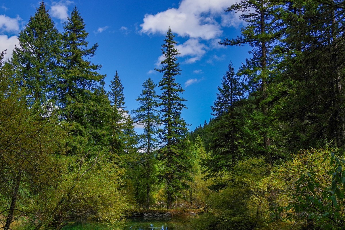 我只是把出去看到的随手记录下来（7）