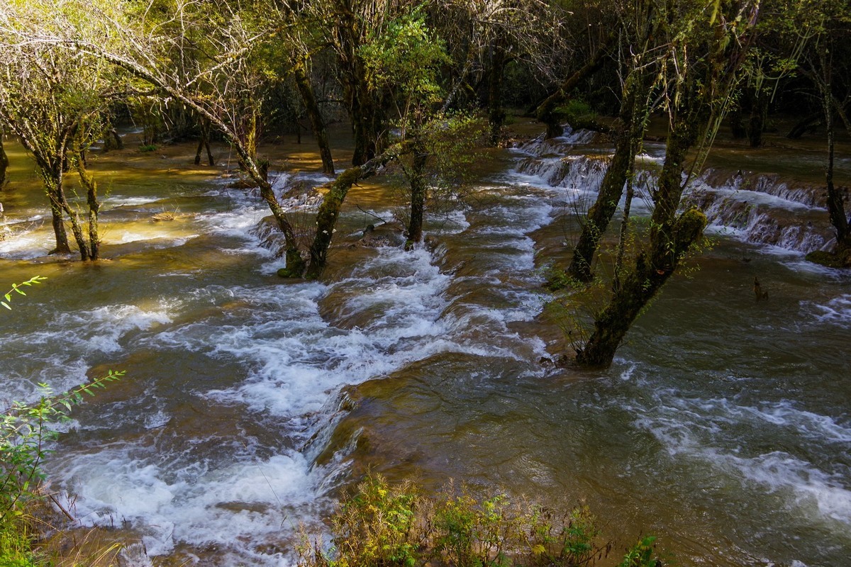 我只是把出去看到的随手记录下来（7）