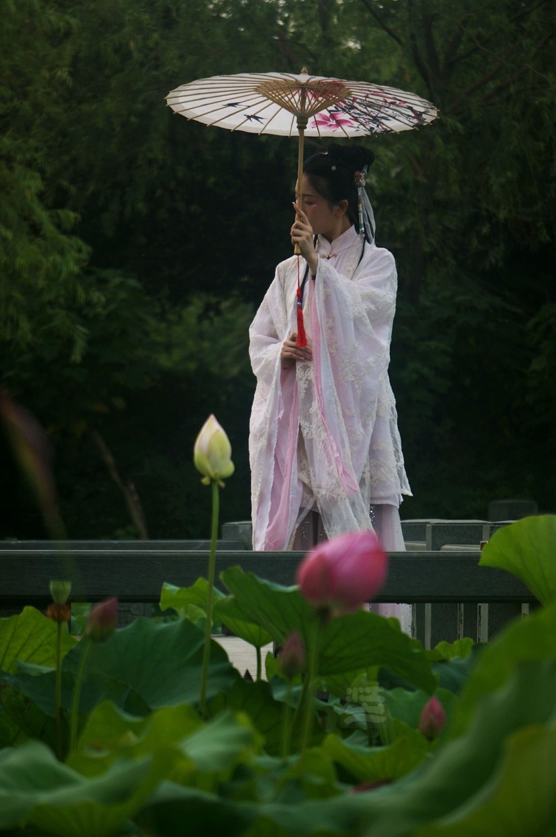 沙湖*荷旁疏影任我知——武汉随笔