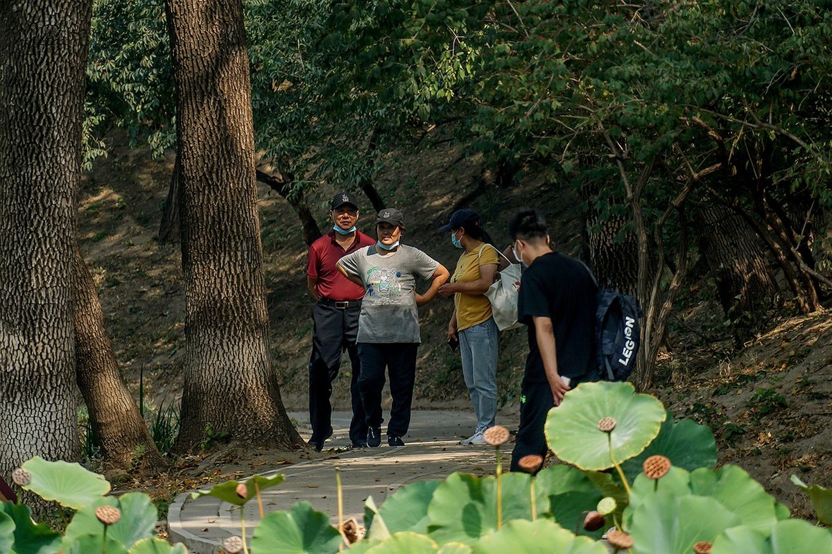 新品腾龙镜头18300圆明园试拍