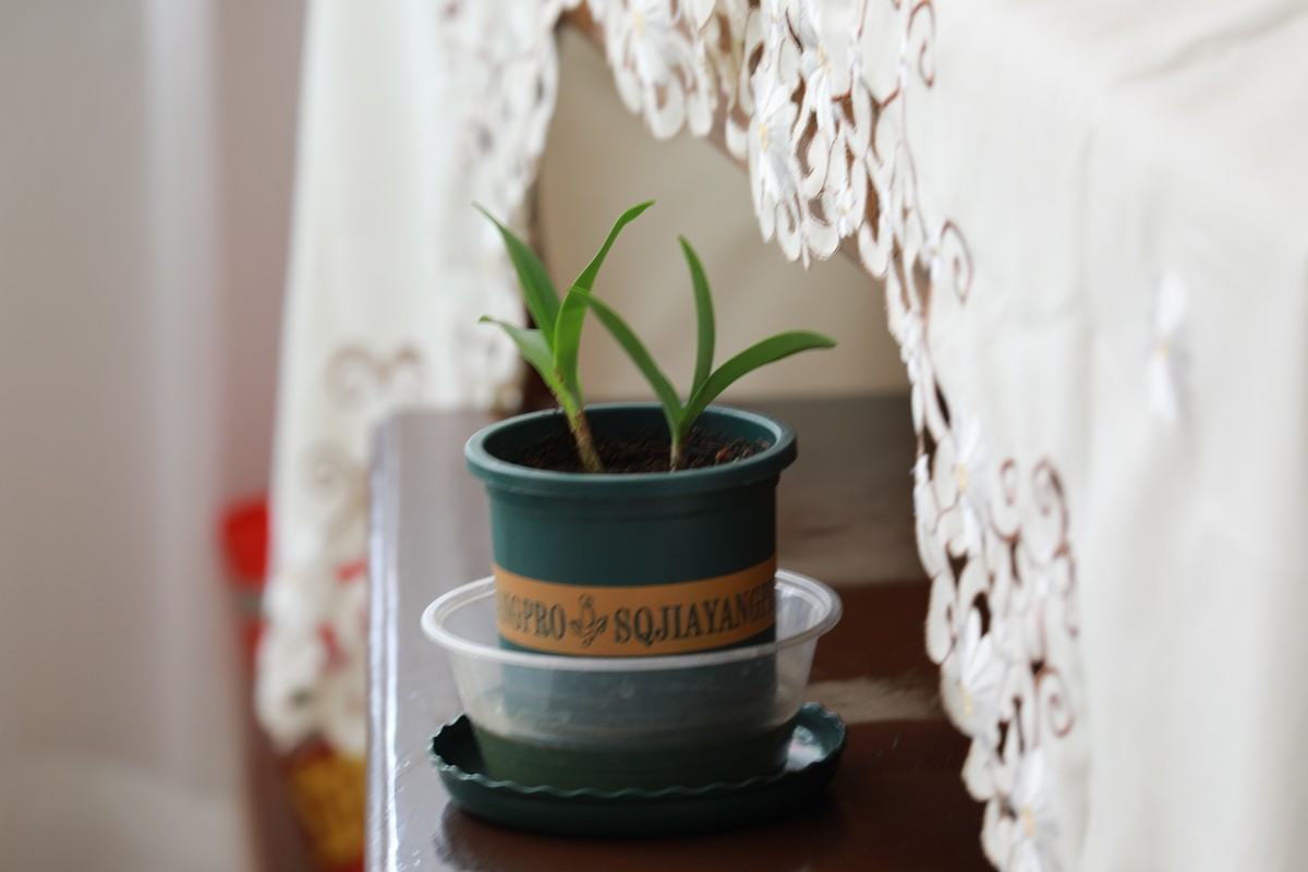 换个镜头拍家中摆设