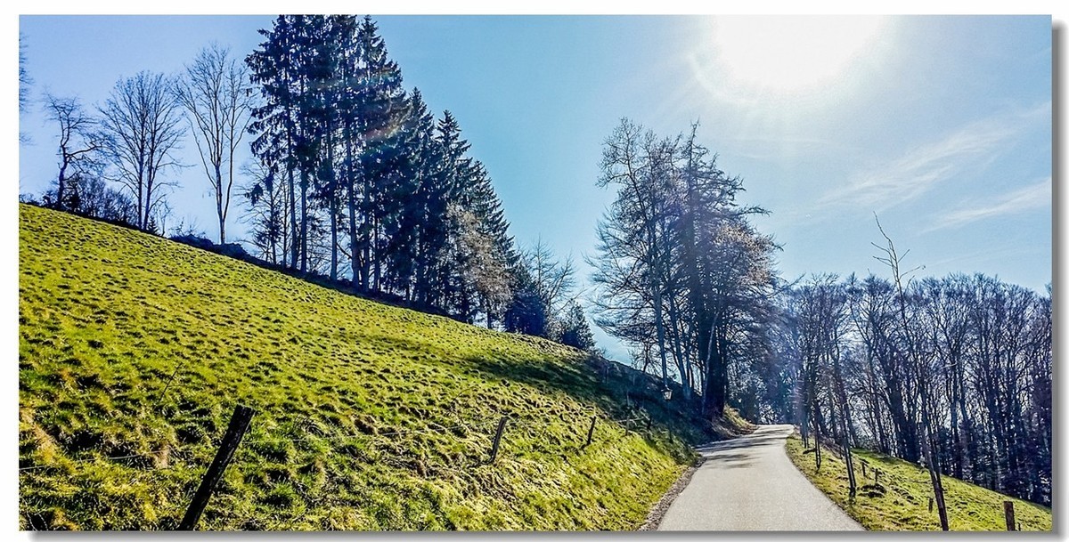 春之冬色黑森林