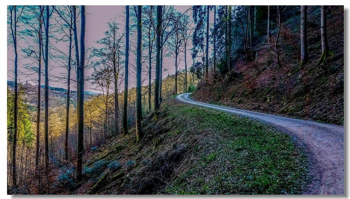 春之冬色黑森林