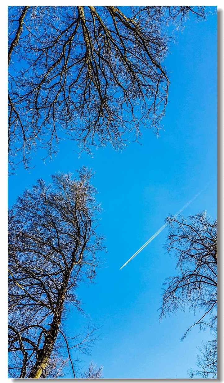 春之冬色黑森林