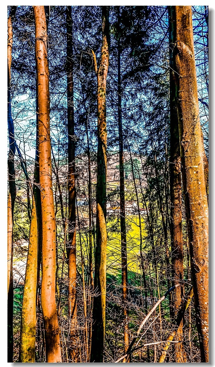 春之冬色黑森林