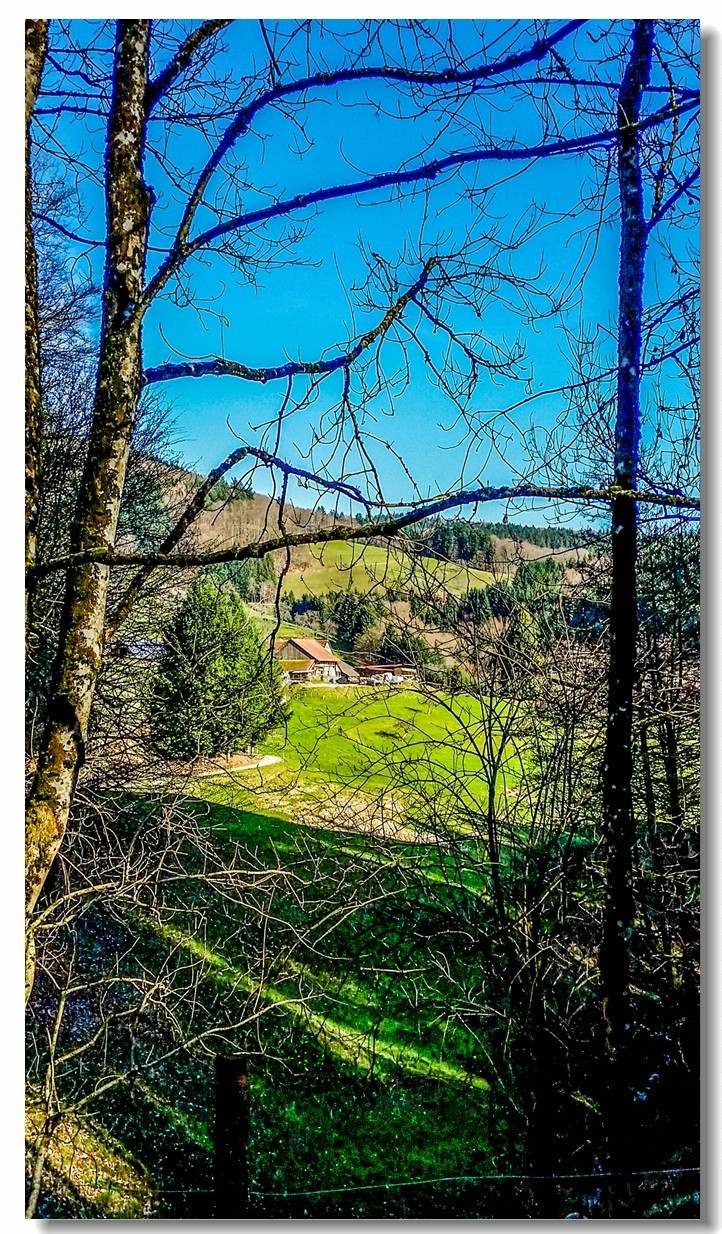 春之冬色黑森林