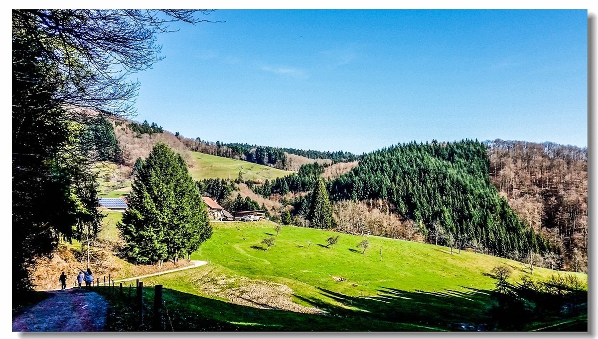 春之冬色黑森林