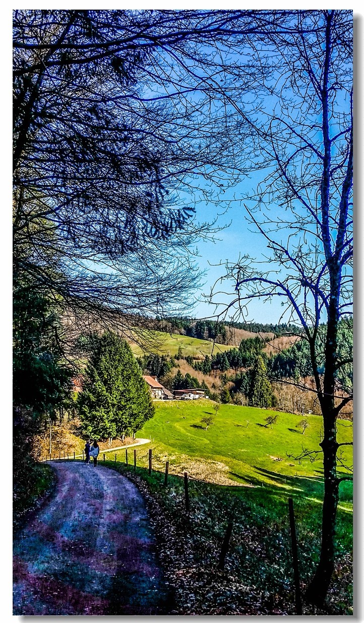 春之冬色黑森林