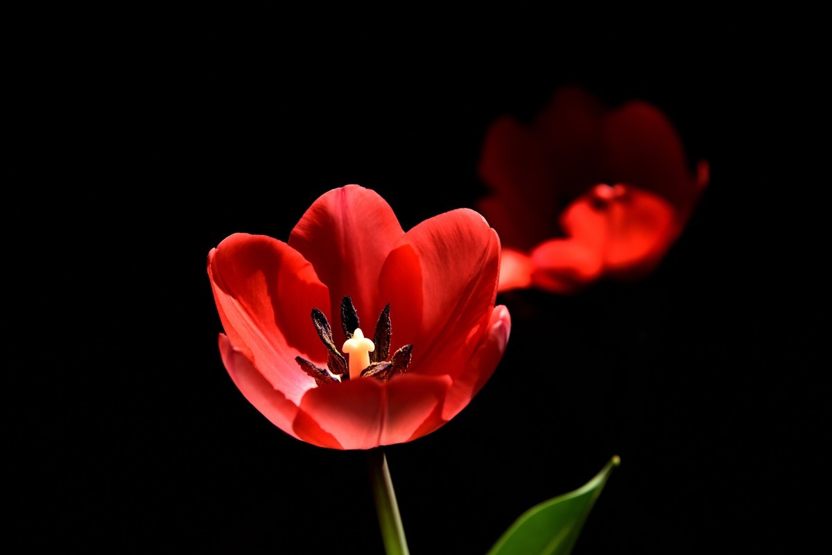 #版主坐堂# 尼康D5100星空(中国)2023年八月份优秀作品精选汇总