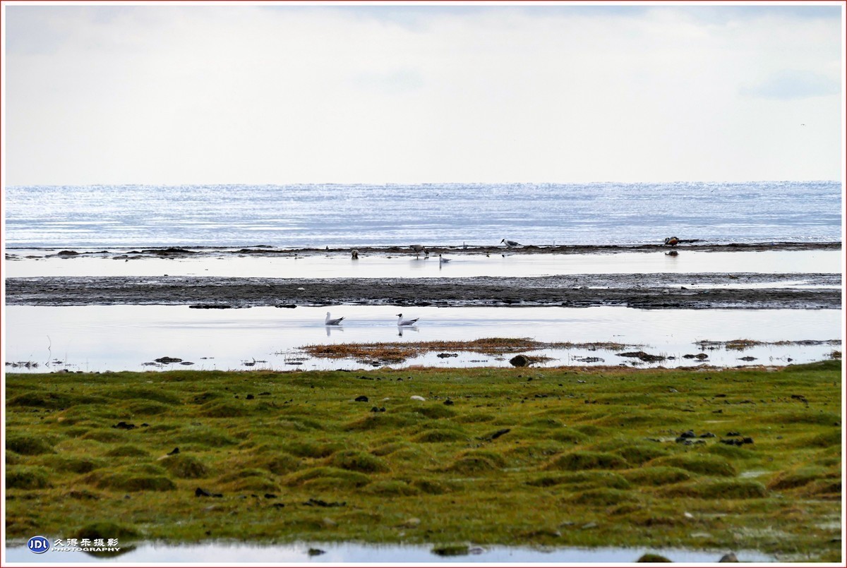 #版主坐堂# 尼康D5100星空(中国)2023年八月份优秀作品精选汇总