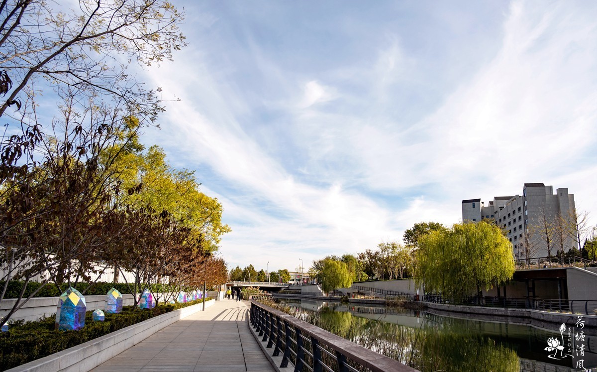 11月的北京市区街景。