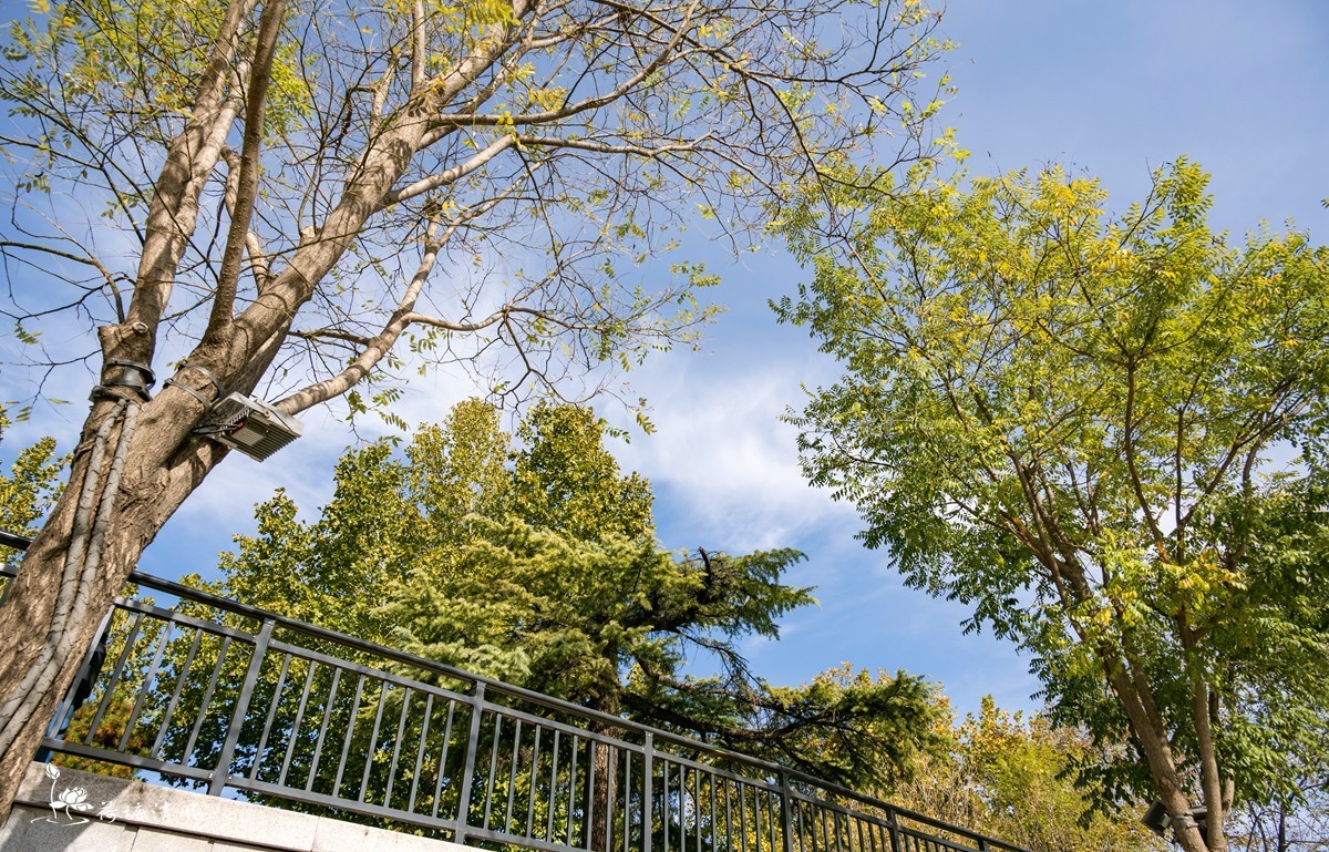 11月的北京市区街景。