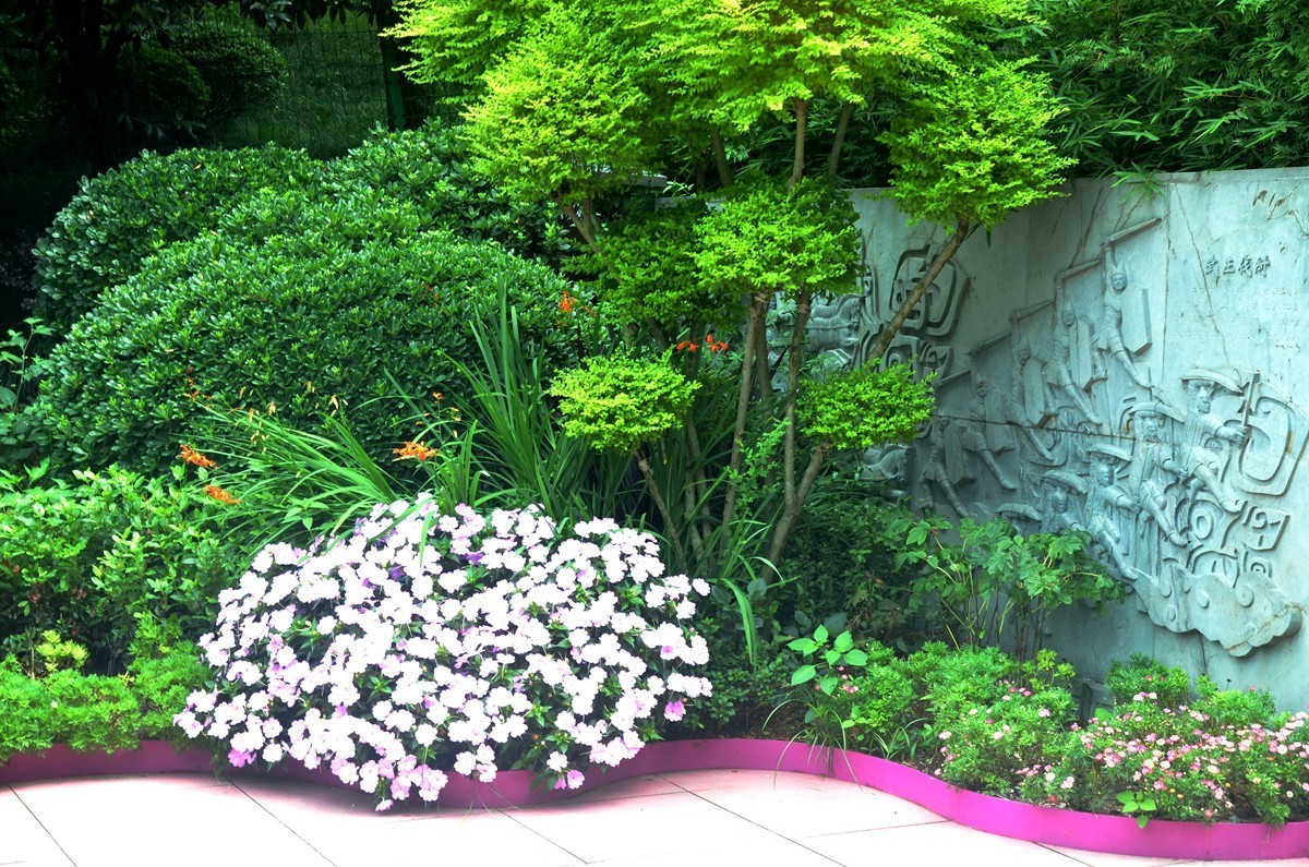 巴滨花艺园 (六)