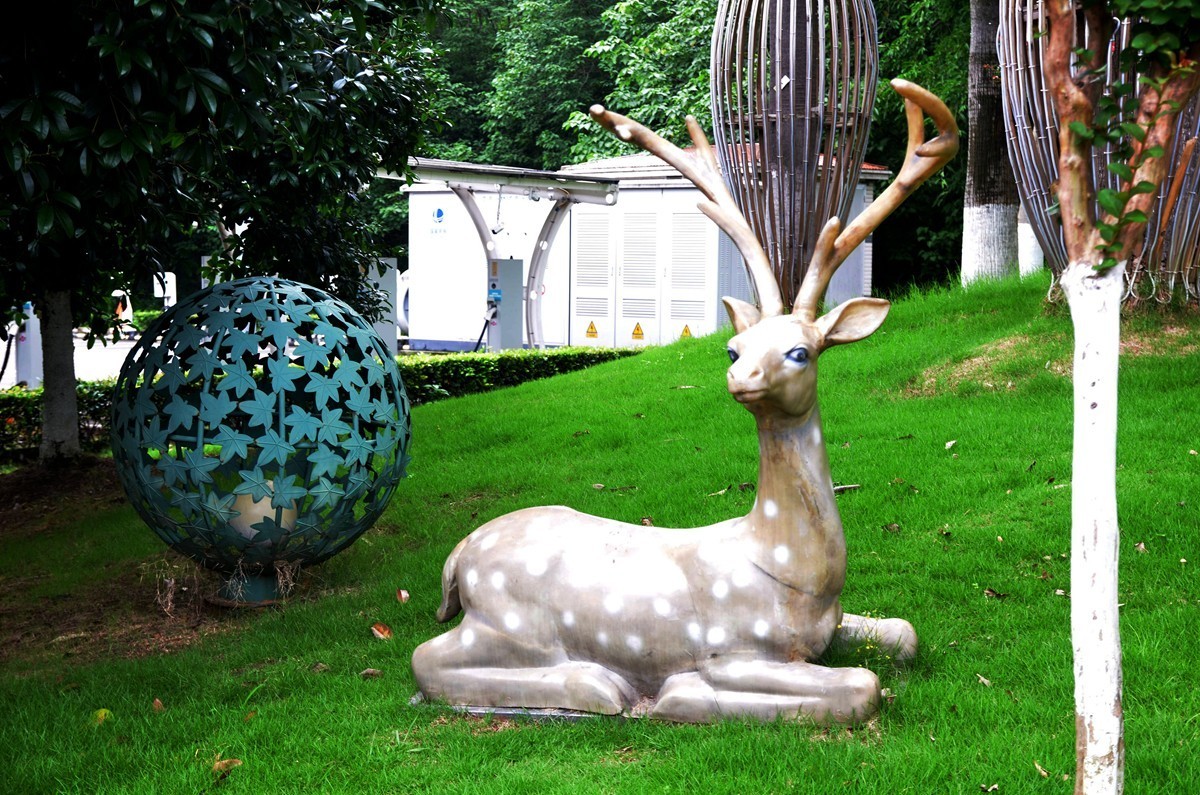 巴滨花艺园 (六)