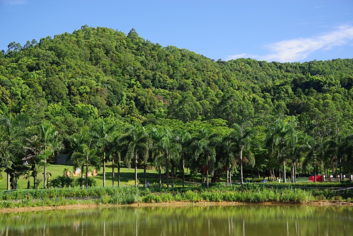 宾得K1单反相机+宾得DFA28-105mm f/3.5-5.6镜头随拍