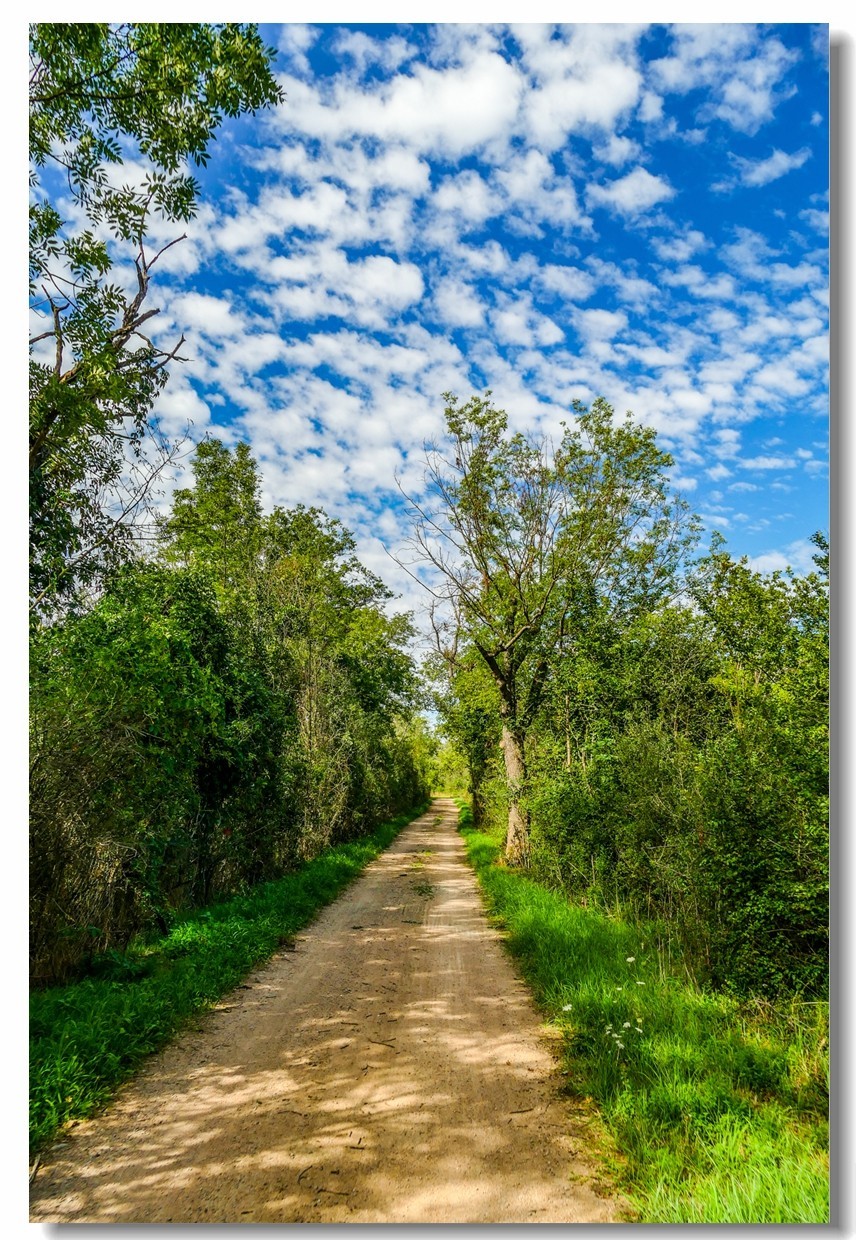 自（行车）驾游拍（南德莱茵平原）