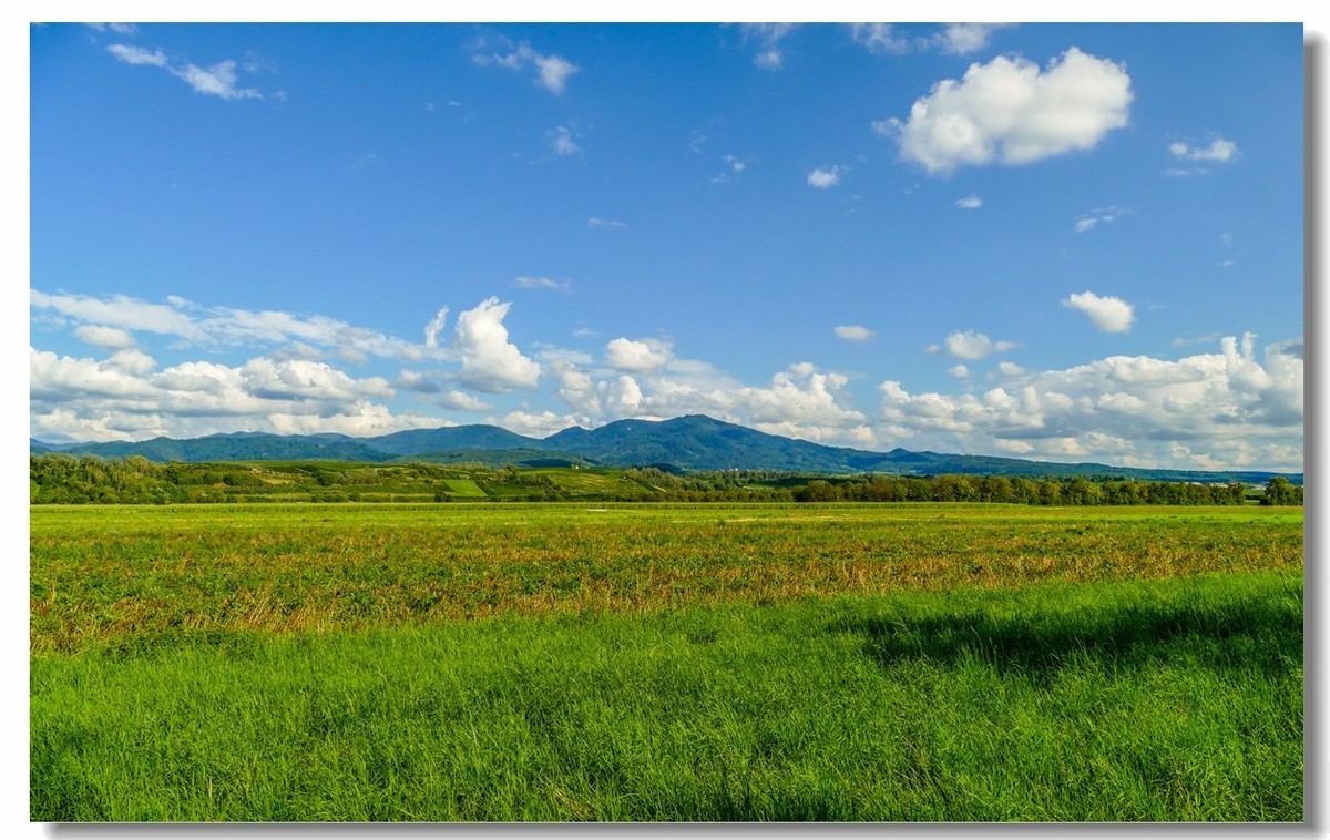 自（行车）驾游拍（南德莱茵平原）