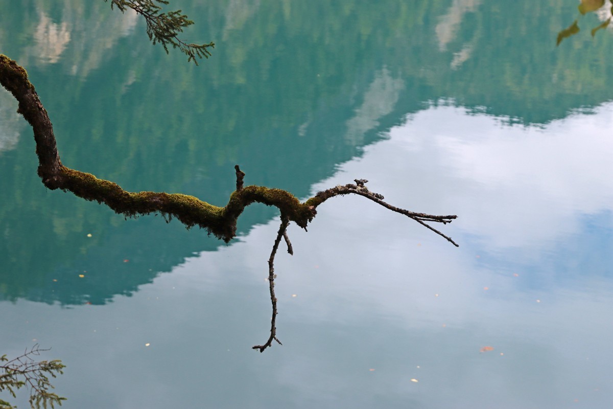1107游山玩水随拍(九寨沟风景)