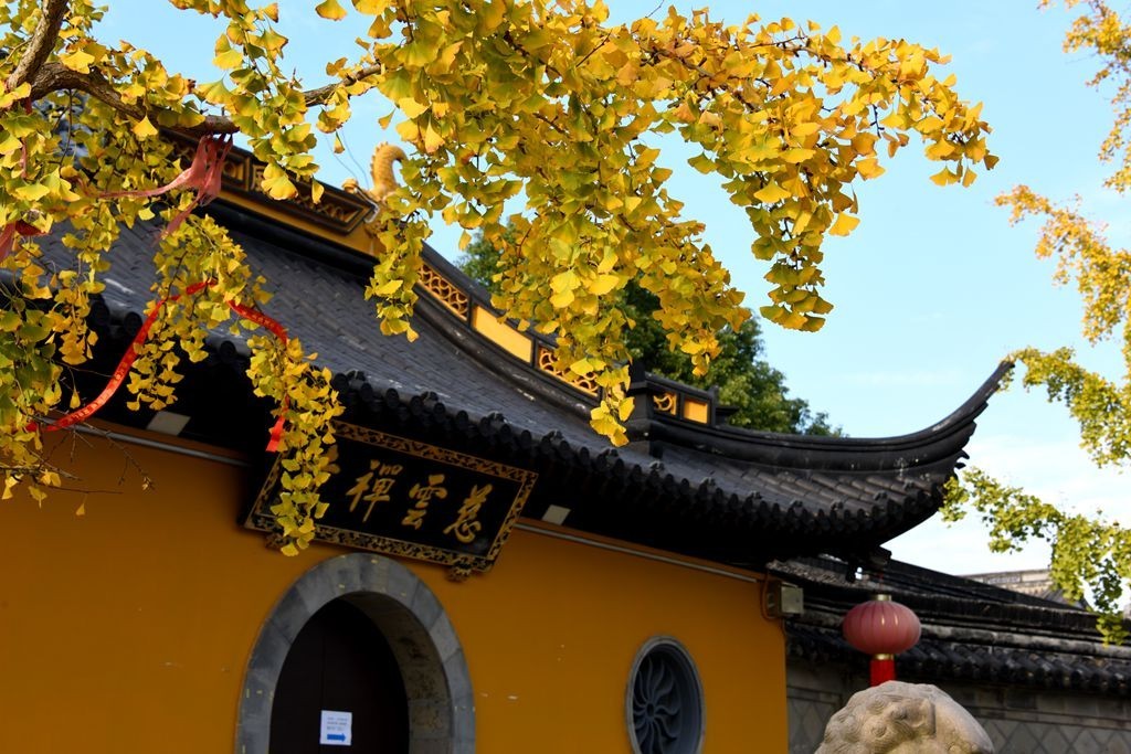 白墙黛瓦树临窗