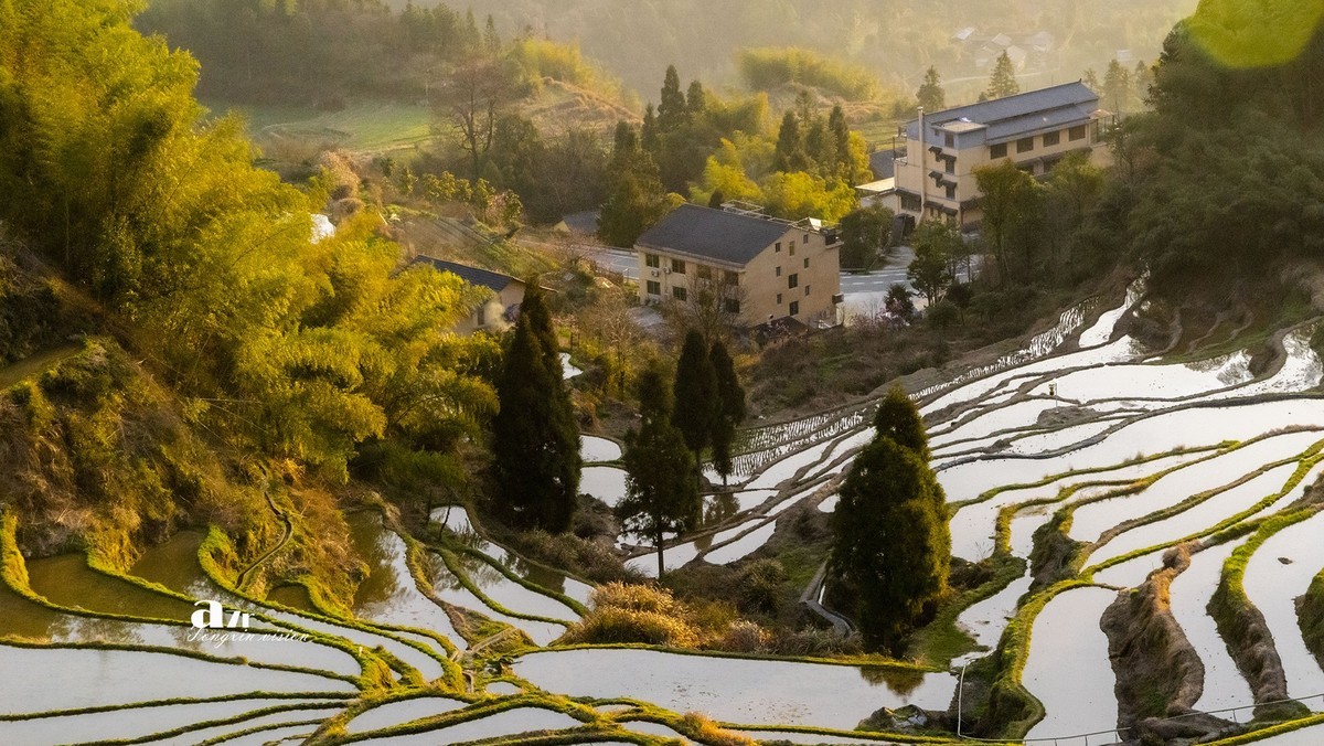 三月下江南——云和梯田（18）