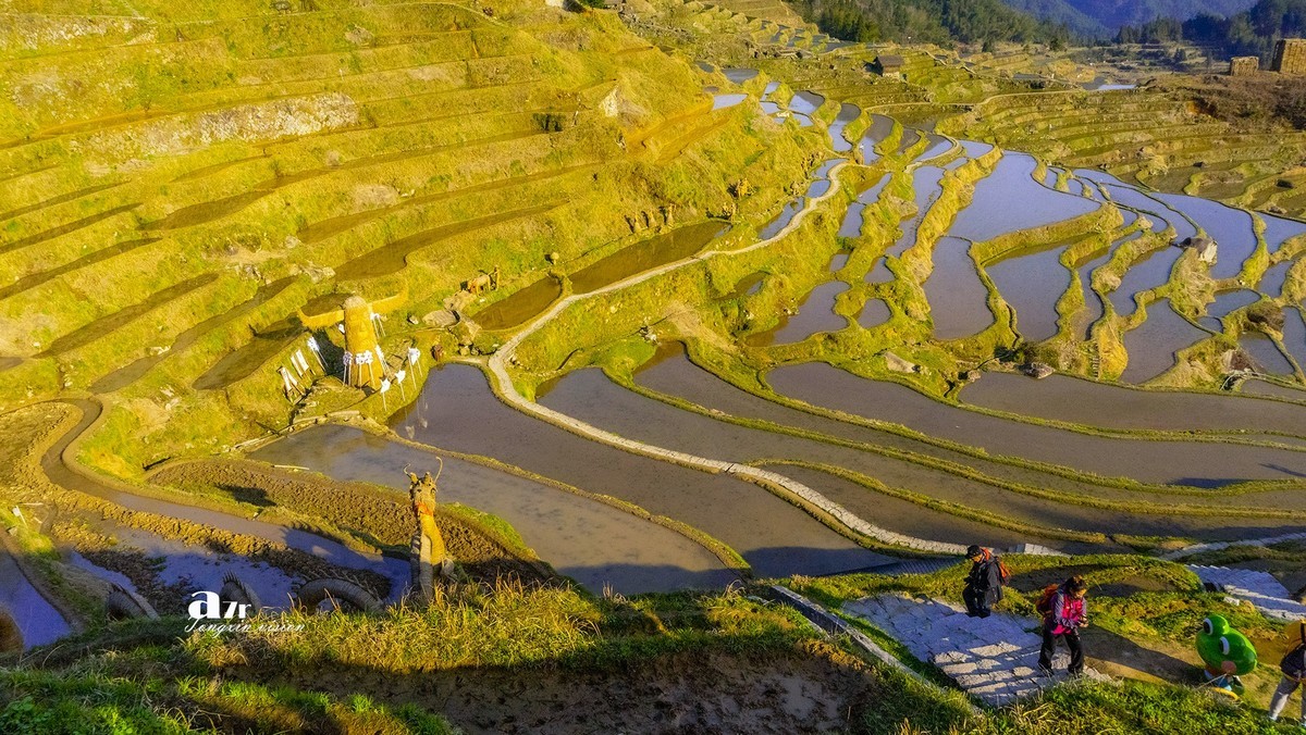 三月下江南——云和梯田（18）