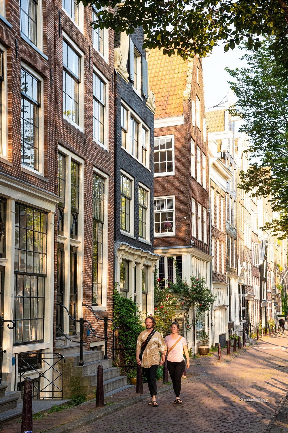 转载几幅适马 无反18-50/2.8的实拍样片       1