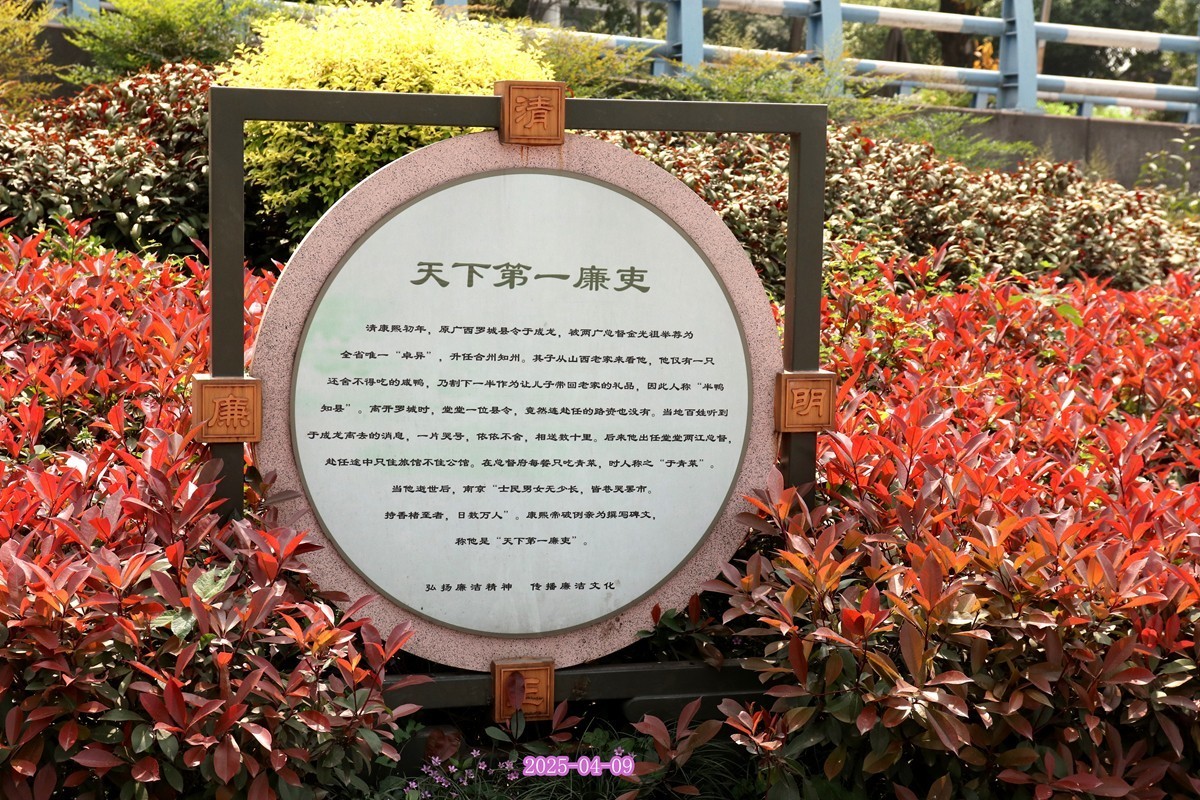春季 龙门老街 (一)