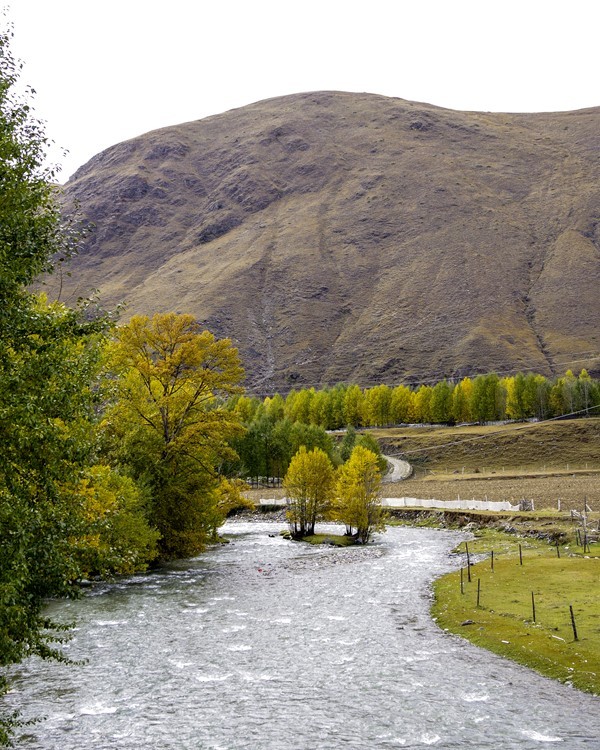 行走在318国道--甘孜--乡城县青德镇【17】