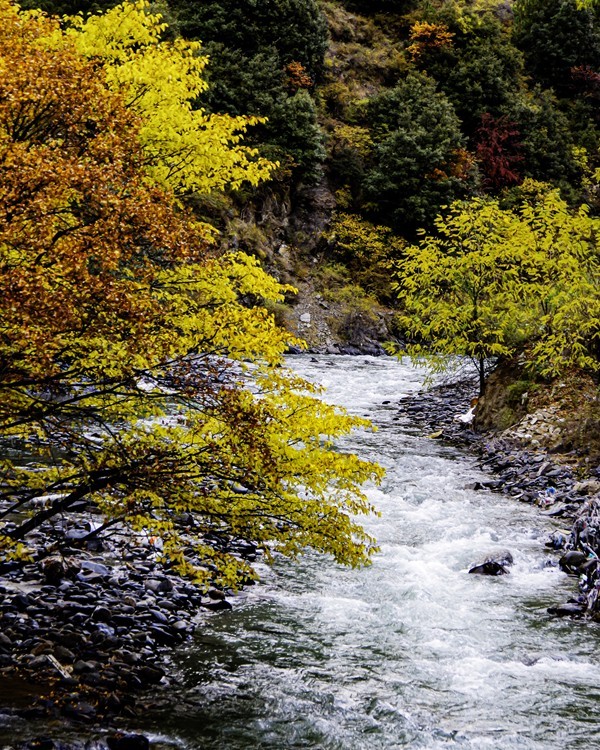 行走在318国道--甘孜--乡城县青德镇【17】