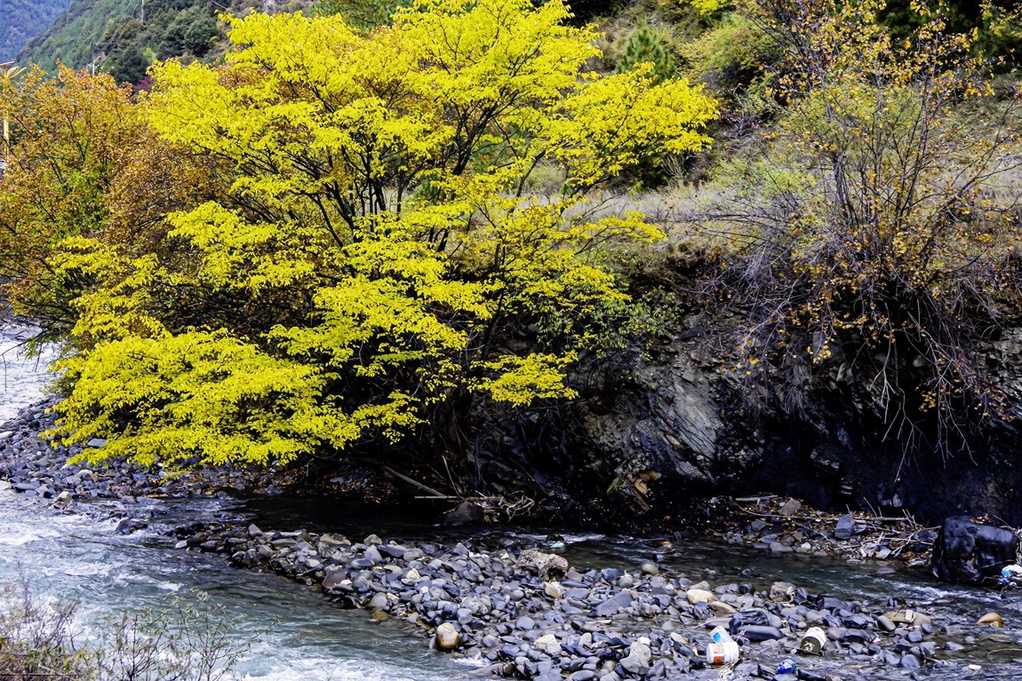 行走在318国道--甘孜--乡城县青德镇【17】