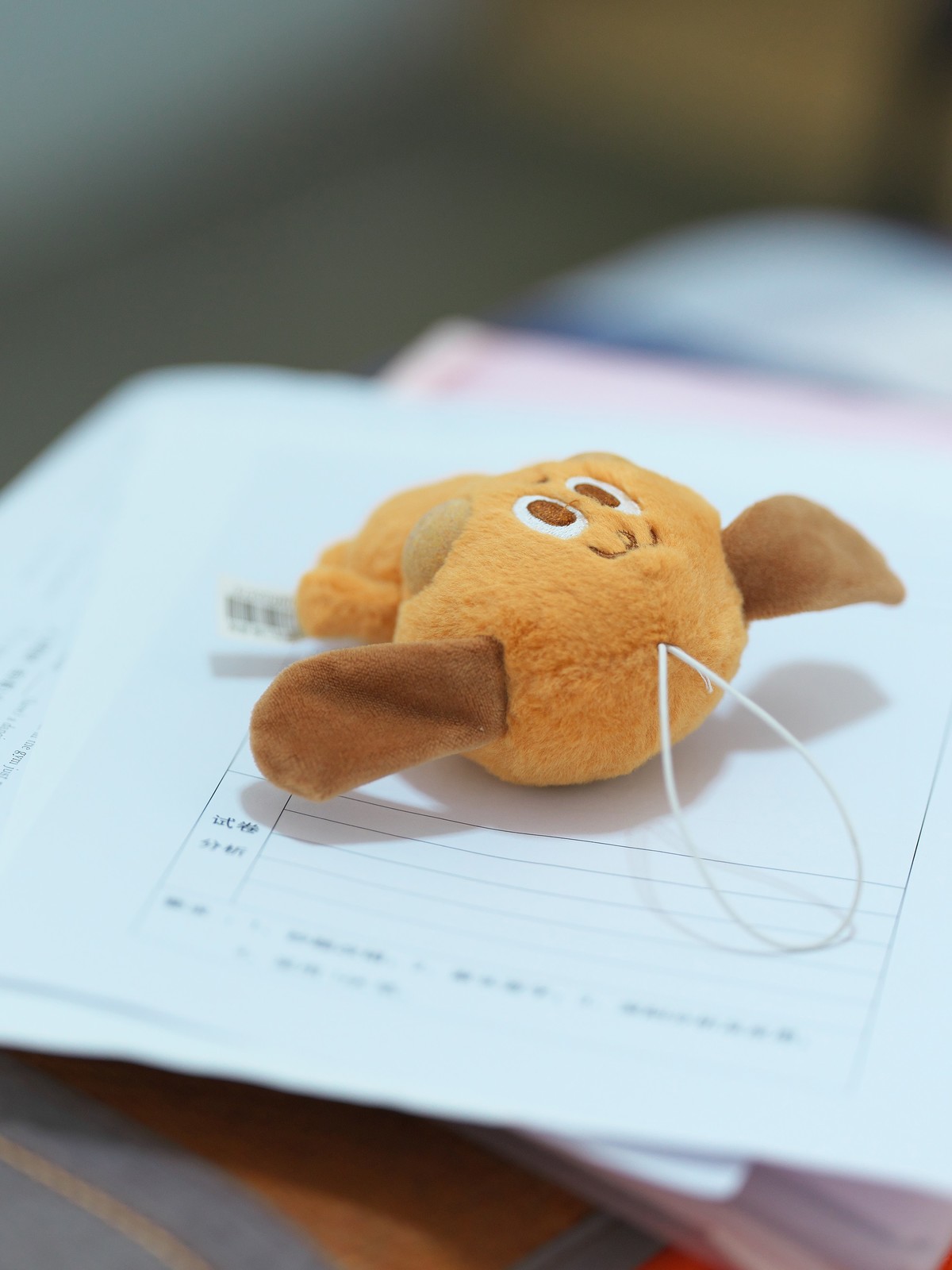 富士GFX 50SII + GF100 F2  完美体现“刀锐奶化”