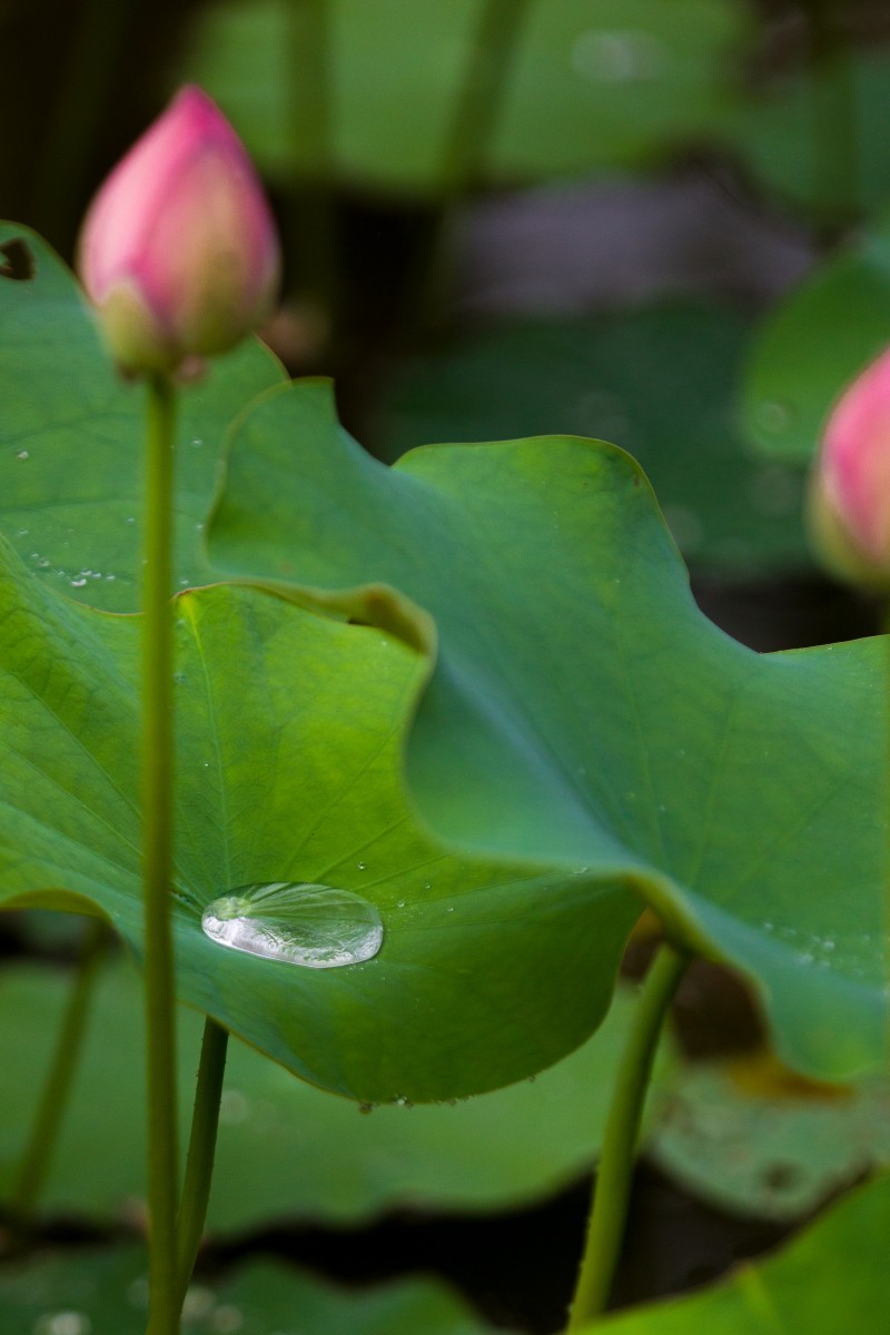 外出随拍（续397）.