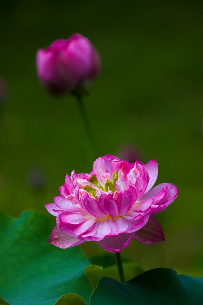 外出随拍（续397）.