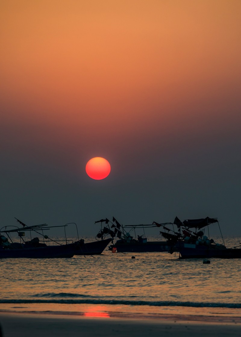 外出随拍（续398）.