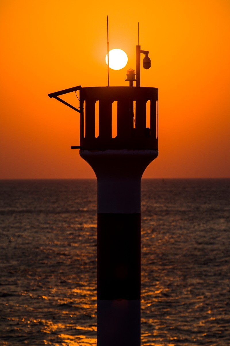 外出随拍（续398）.