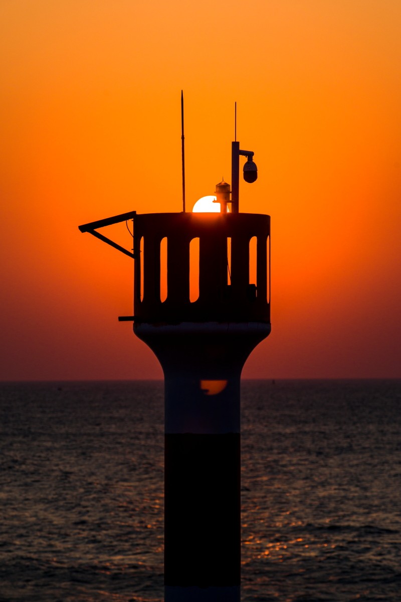 外出随拍（续398）.