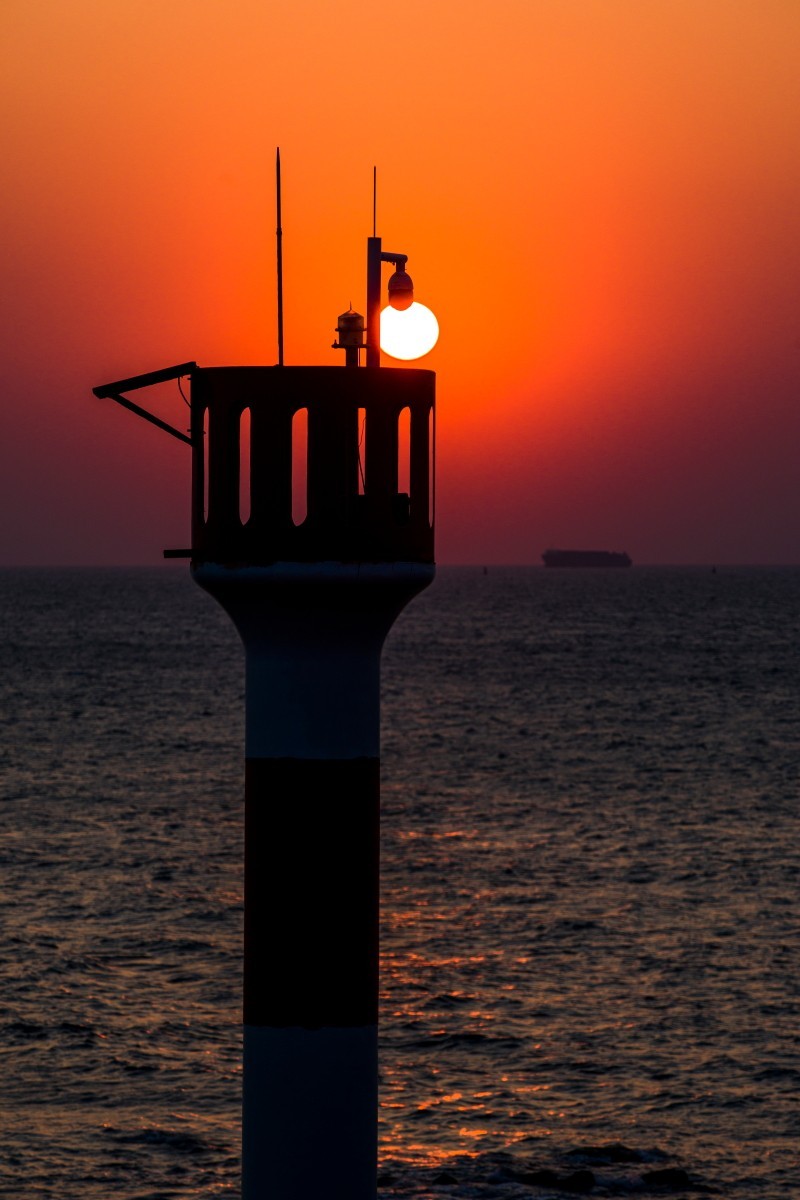 外出随拍（续398）.